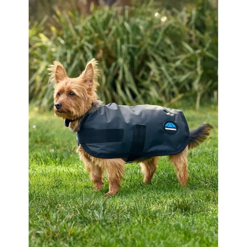 Direttamente Dal Produttore Coperta impermeabile per cane Weatherbeeta ComFiTec Classic