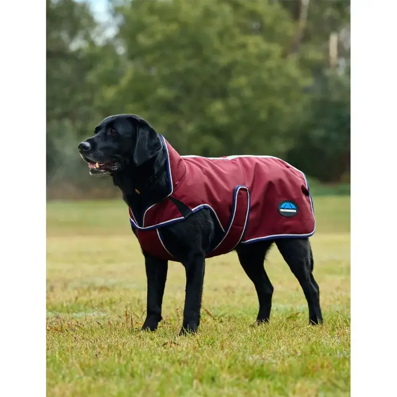 Occasione Coperta impermeabile per cani WeatherBeeta ComFiTec Premier Deluxe