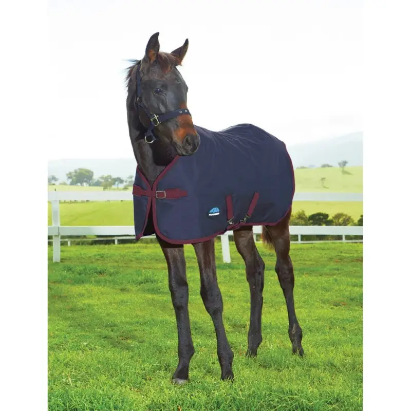 Coperta per puledro WeatherBeeta 1200D 220 g Ultimissimo Modello