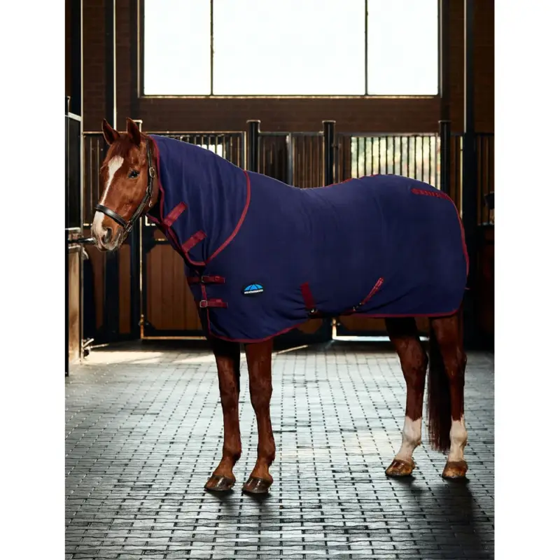Super Prezzo Coperta asciugante Weatherbeeta antistatica in pile combo