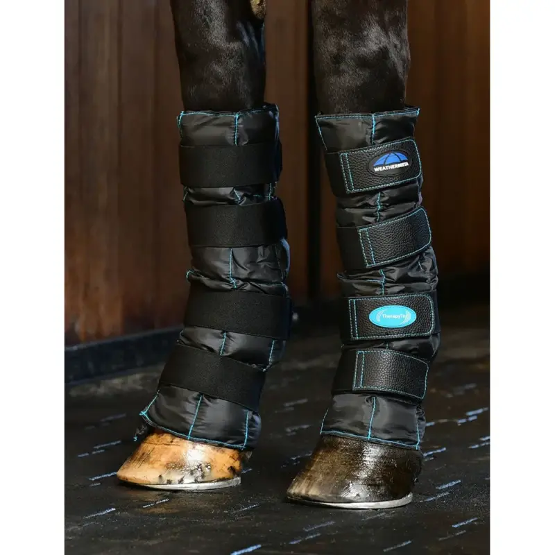 Compra Oggi Stesso Stinchiere Weatherbeeta Therapy-Tec II Gel Ice
