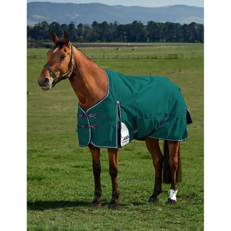 Compra Oggi Stesso Coperta Weatherbeeta ComFiTec Plus Dynamic Turnout 220 g