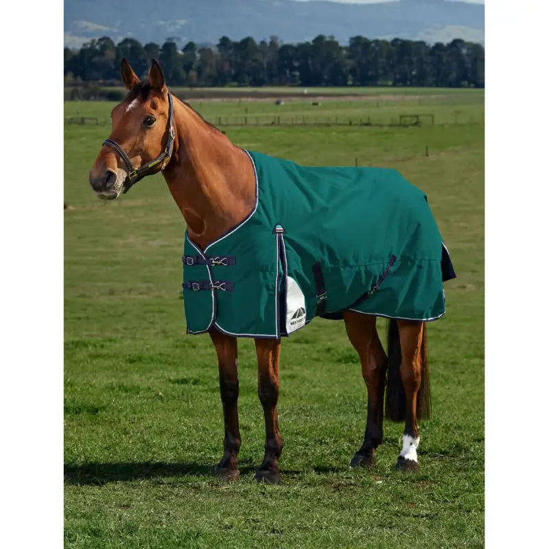 Coperta Weatherbeeta ComFiTec Plus Dynamic Turnout 100 g Affare