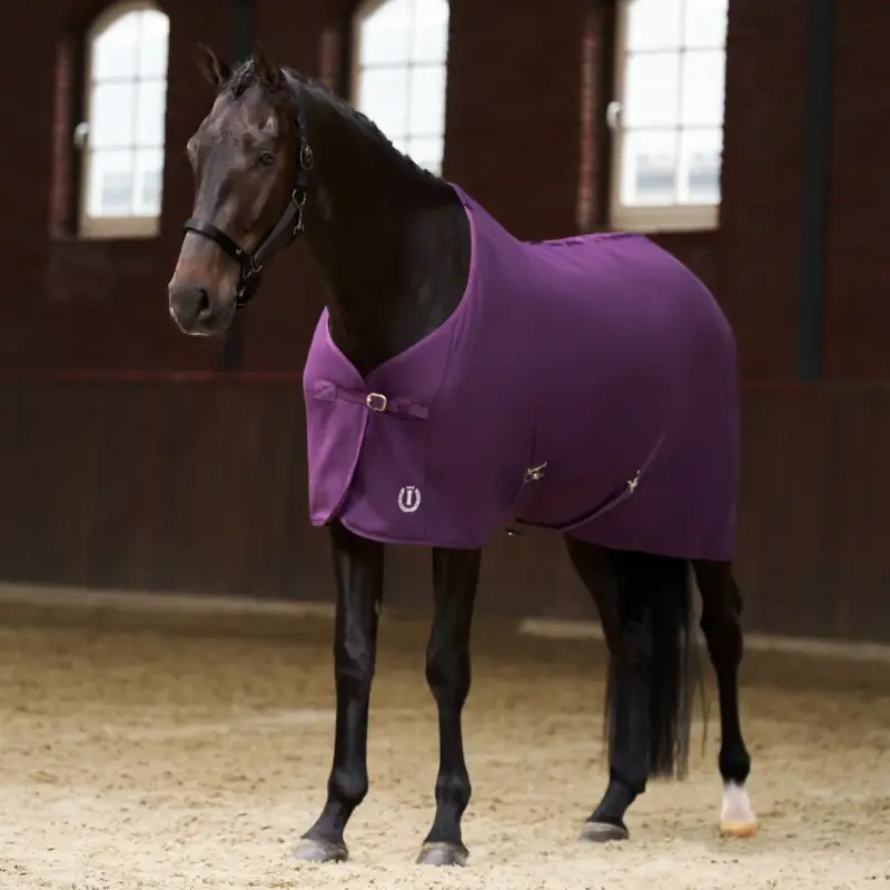 Coperta in pile Imperial Riding Fundamental Compra Online