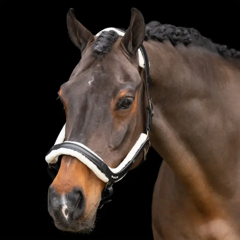 Capezzina Imperial Riding Luxury Popolare