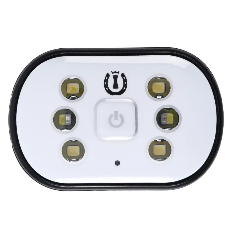 Solo Oggi Luci LED Imperial Riding Luminous