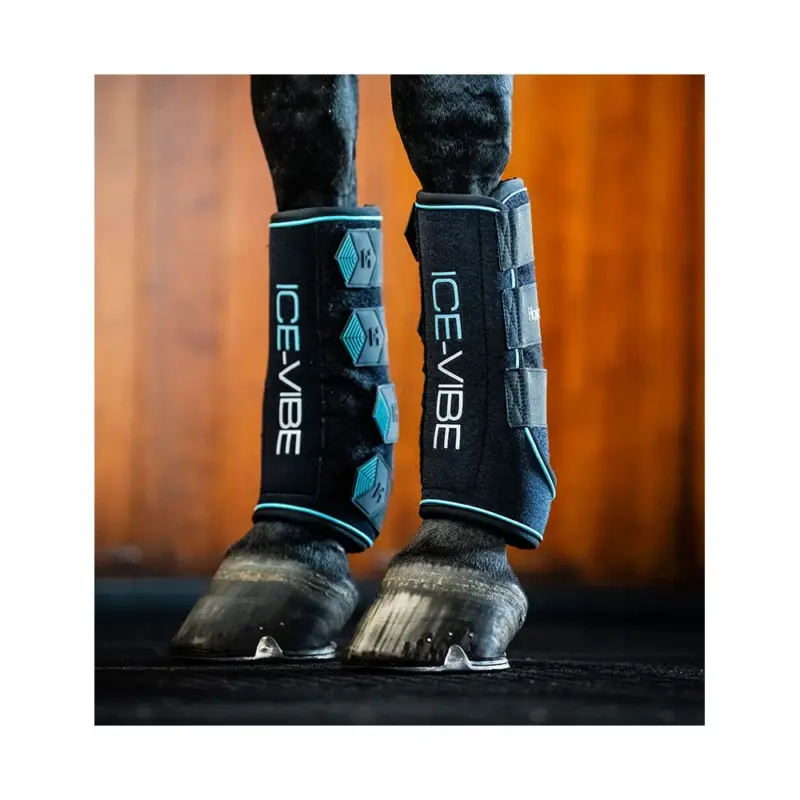 Stinchiere Horseware Ice-Vibe Di Tendenza