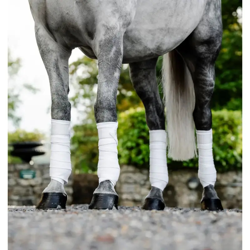 Compra Online Fasce imbottite Horseware