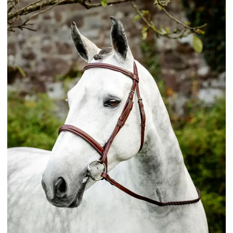 Briglia Horseware Cavesson Hunter con redini Reso Gratuito
