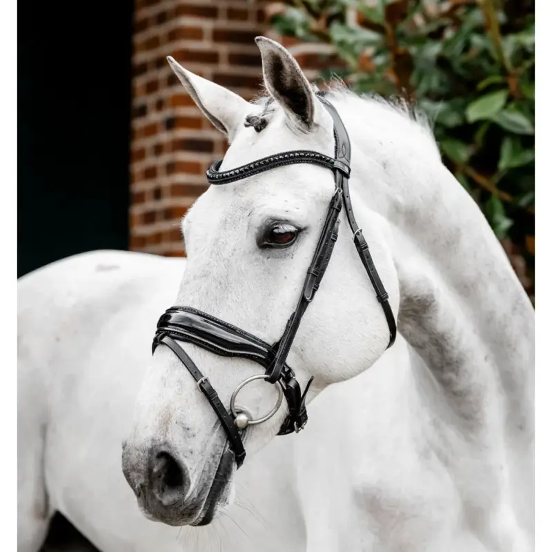Briglia Horseware Diamante con chiudibocca flash Non Perdere