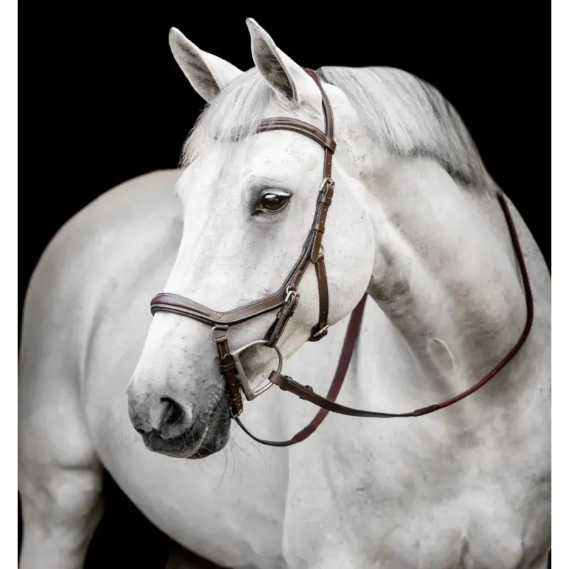 Consegna Rapida Briglia Horseware Micklem Deluxe Competition