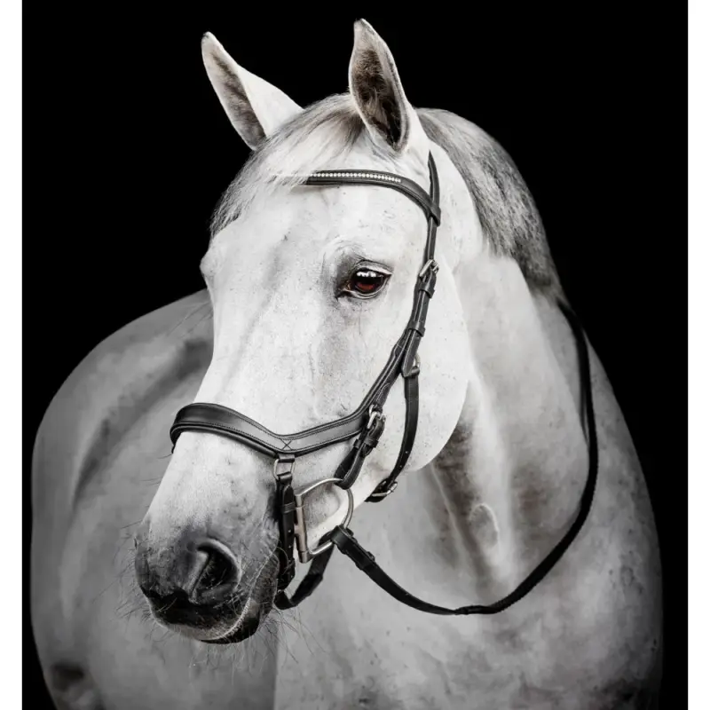 Consegna Rapida Briglia Horseware Micklem Diamante Competition