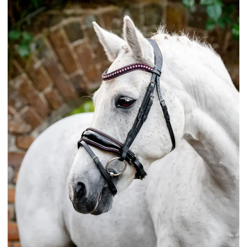 Briglia per pony Horseware Diamante Flash Saldi