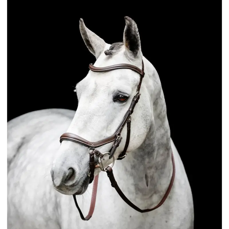 Briglia senza morso Horseware Micklem Reso Gratuito