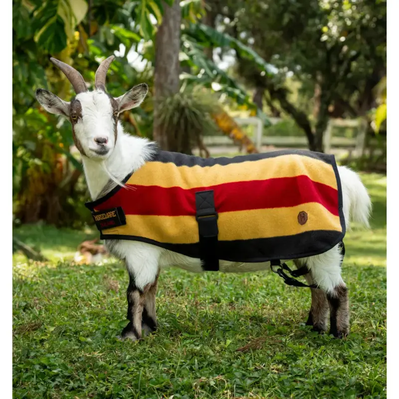 Pagamento Sicuro Coperta in pile Horseware Newmarket per capra