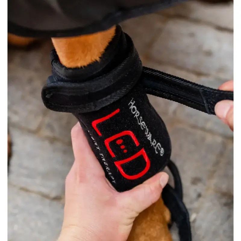 Compra Oggi Stesso Ghette terapeutiche per cane Horseware a luce LED rossa