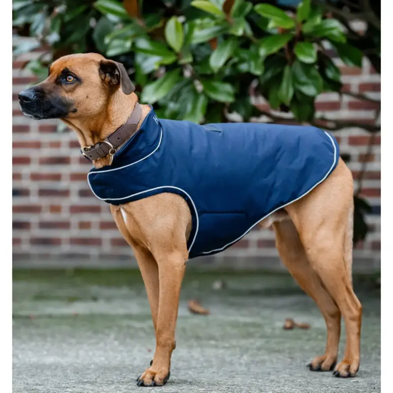 Impermeabile per cane Horseware Signature 100 g Must-Have