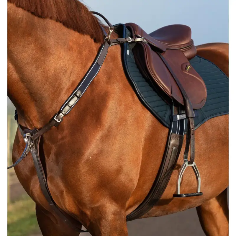 Offerta Del Giorno Pettorale Horseware Micklem con martingala
