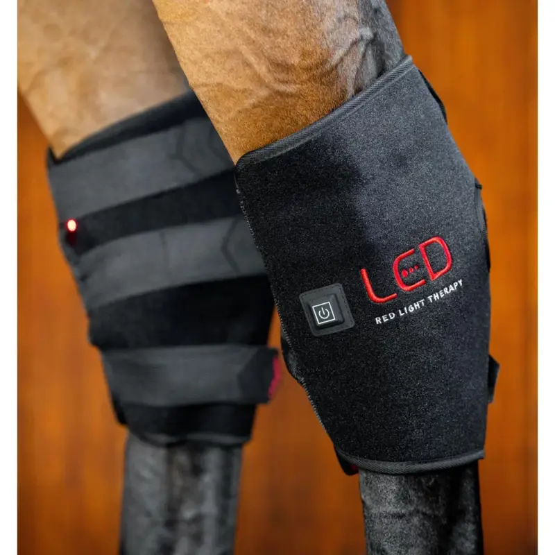 Super Prezzo Protettore del garretto Horseware Therapy con luce LED rossa