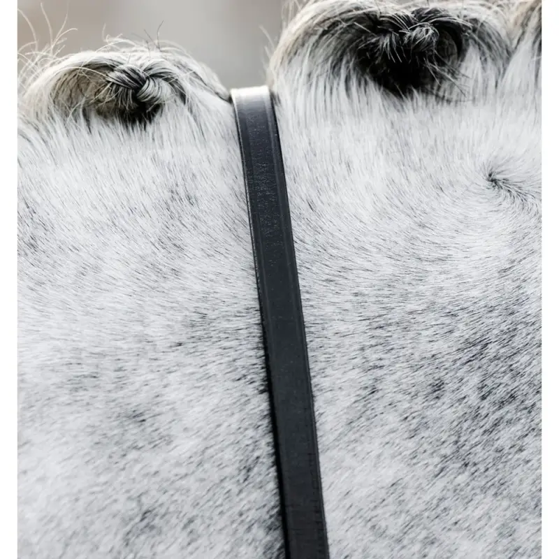 Redini Horseware da briglia Compra Online