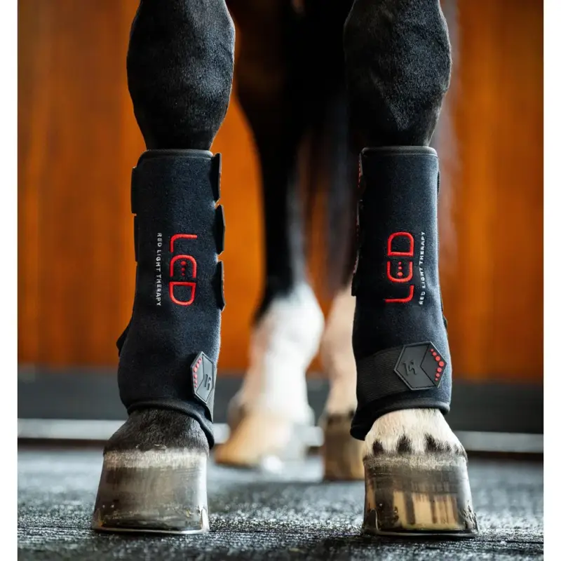 Non Perdere Stinchiere terapeutici Horseware con luce rossa a LED