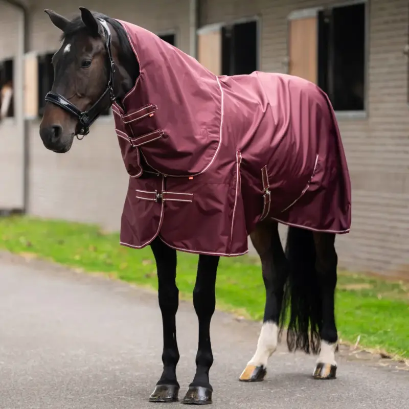 Coperta da paddock Imperial Riding Basic con collo removibile 400 g Quantità Limitata