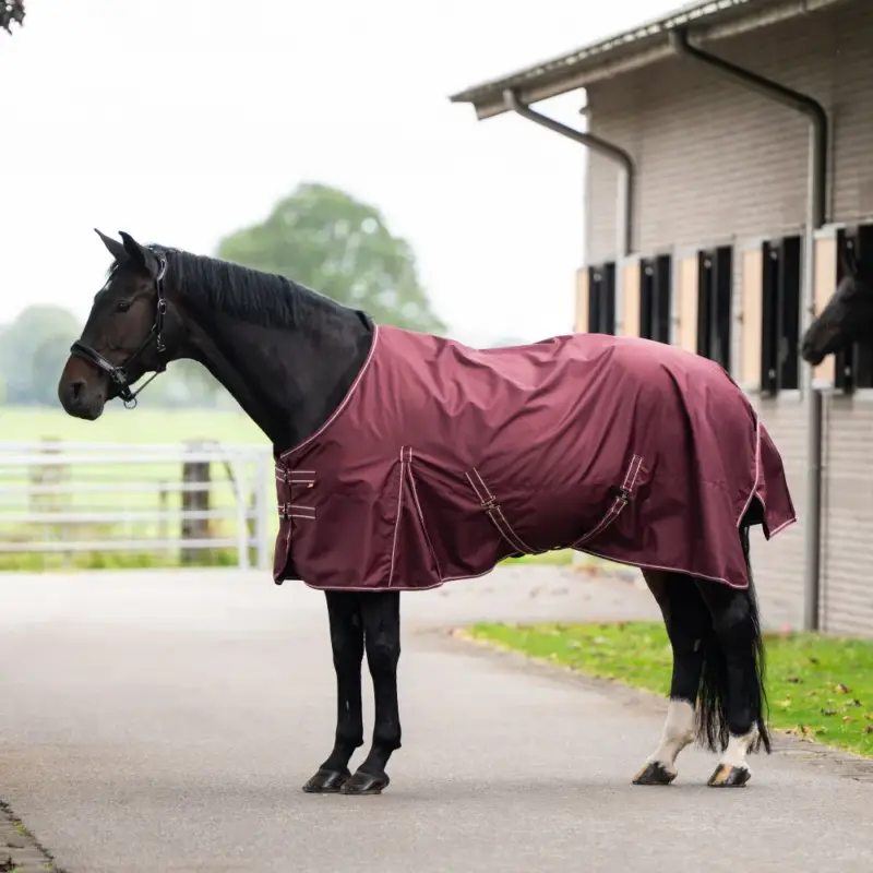 Quantità Limitata Coperta da paddock Imperial Riding Basic senza copricollo 200 g