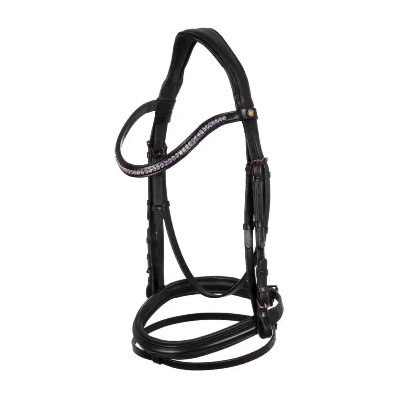 Briglia anatomica Equestro in pelle Compra Online