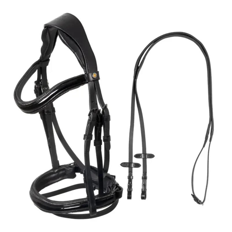 Briglia Equestro curvata a forma anteriore Offerta Speciale