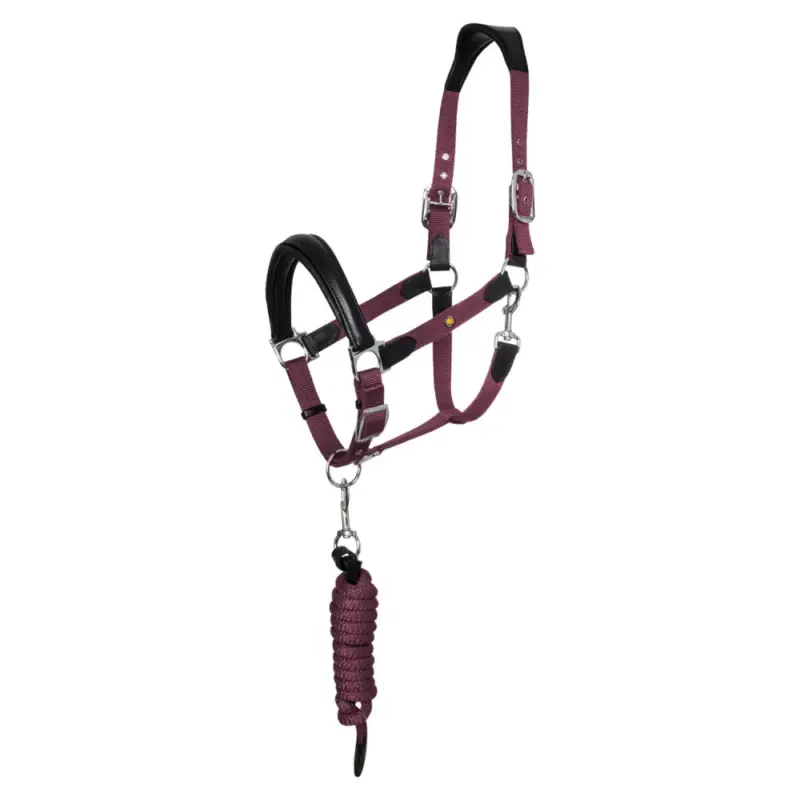 Scelto Dai Clienti Capezzina ergonomica Equestro con inserti in pelle