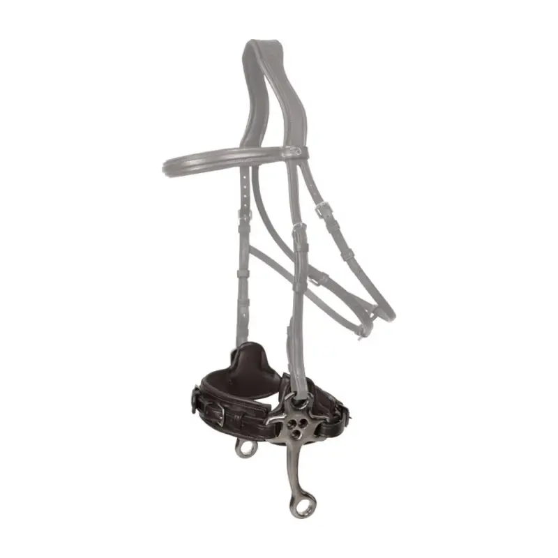 Hackamore Dy'on New English Sconto