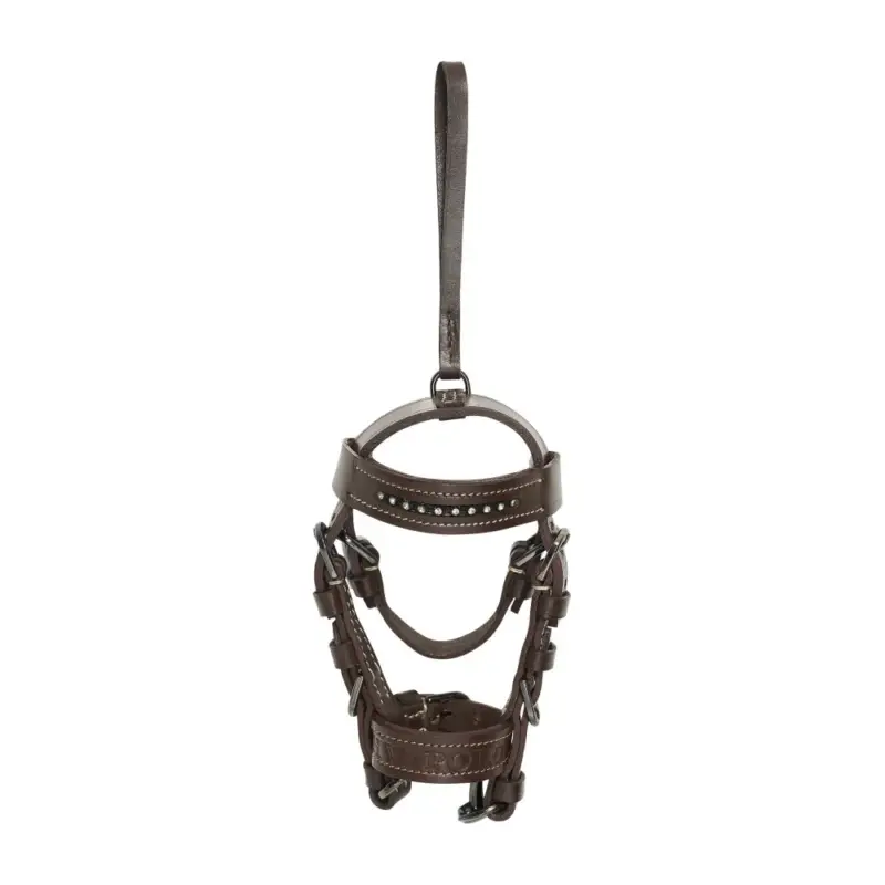 Briglia charms HV Polo Legacy Offerta Lampo