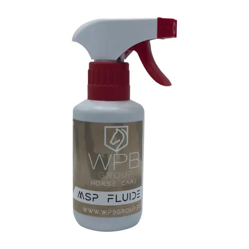 Ultimissimo Modello MSP Fluida WPB Group