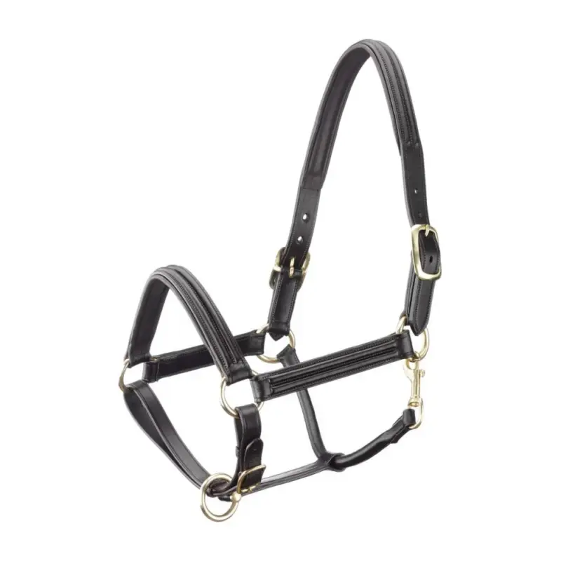 Offerta Del Giorno Capezza Tattini in cuoio doppio bombato
