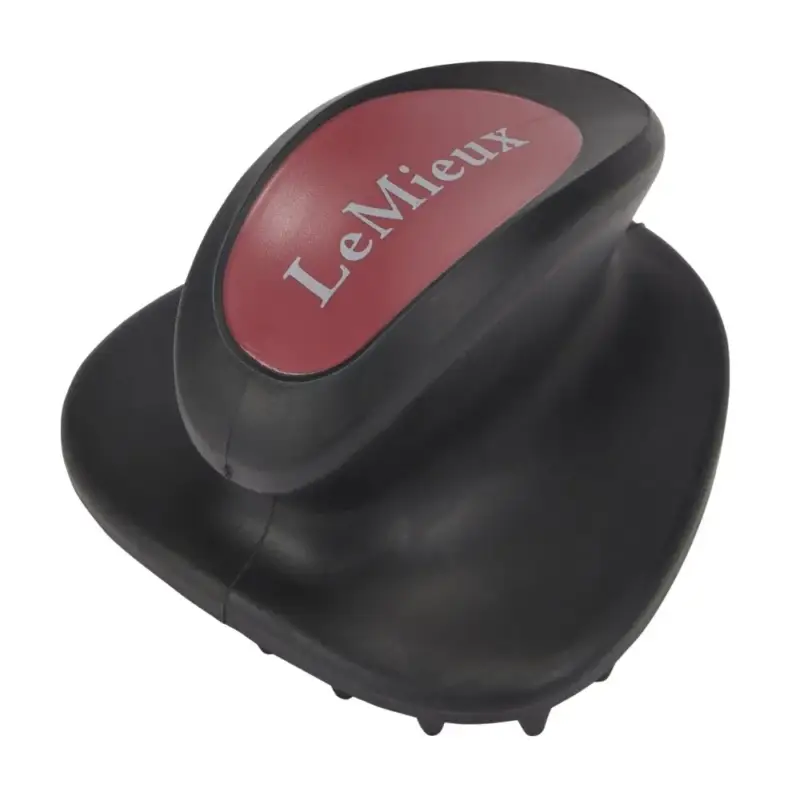 Offerta Lampo Spazzola da massaggio LeMieux