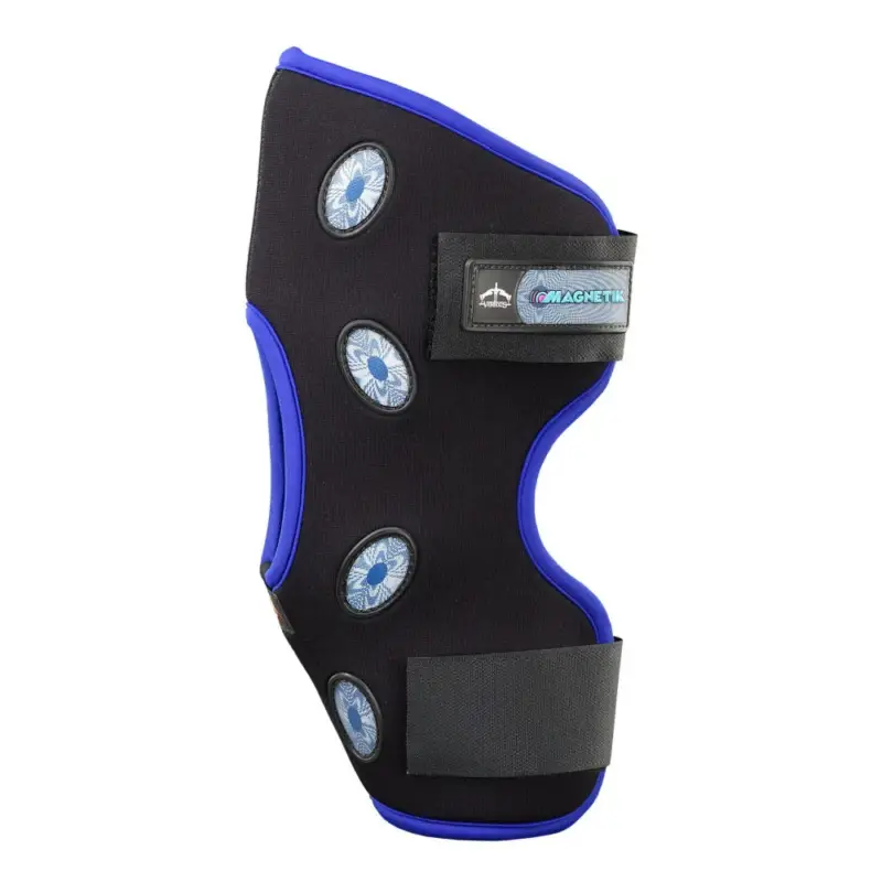 Bestseller Paranocche magnetiche Veredus