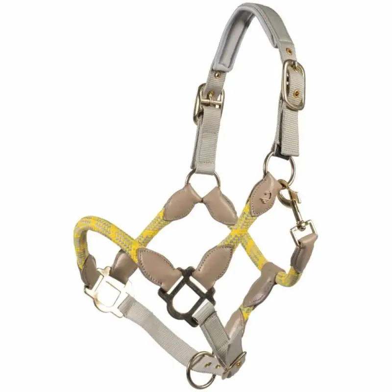 Ultima Occasione Capezza Lauria Garrelli Limone Sportive
