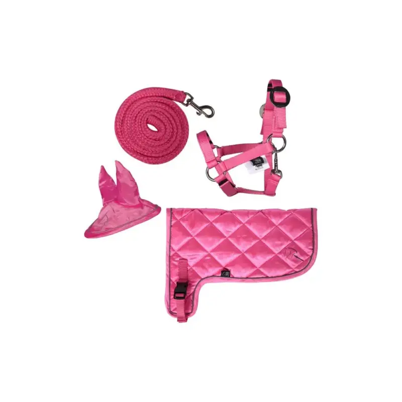 Set neon HKM Hobby Horse Nuovo Arrivo