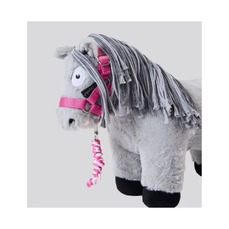 Capezza e longhina Horseware per Crafty Ponies Soddisfatti O Rimborsati