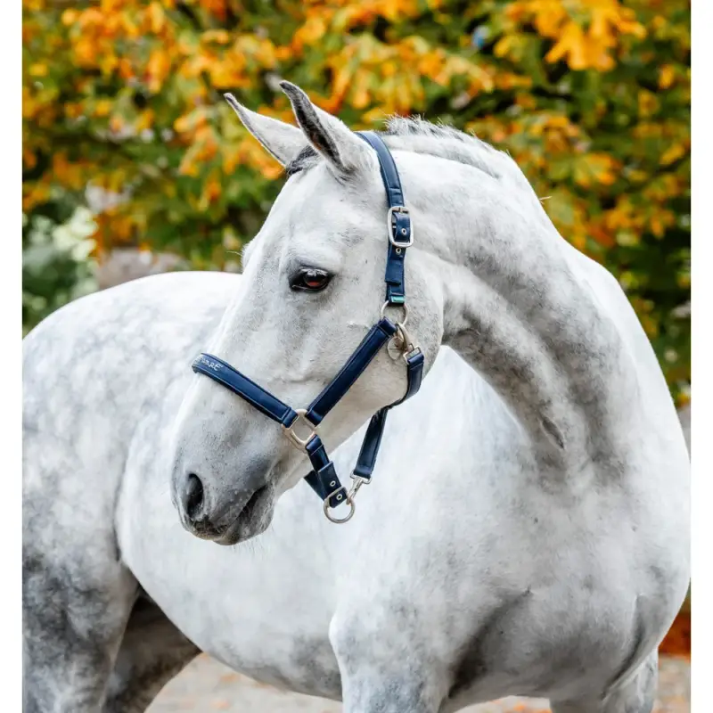 Spedito Oggi Capezzina da grooming Horseware