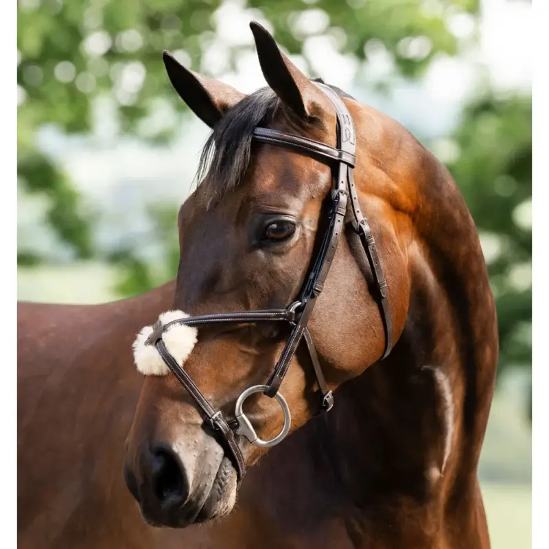 Affare Briglia Grackle a forma di 8 Horseware con capezzina incrociata