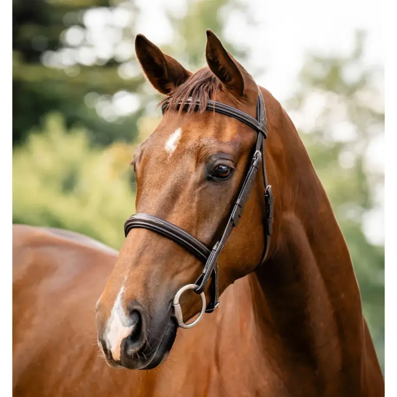 Direttamente Dal Produttore Briglia Horseware Hunter