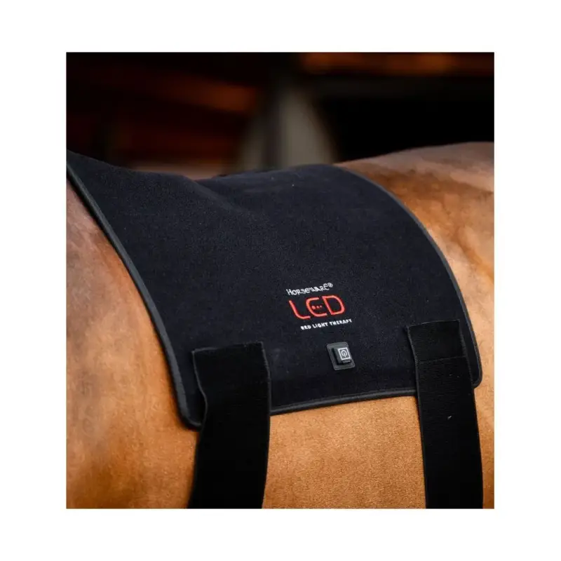 A Buon Prezzo Tappetino terapeutico a luce rossa LED Horseware