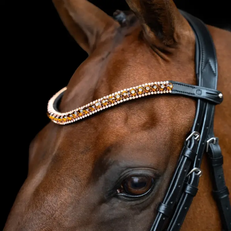 Compra Oggi Stesso Fronte Imperiale Riding Grande