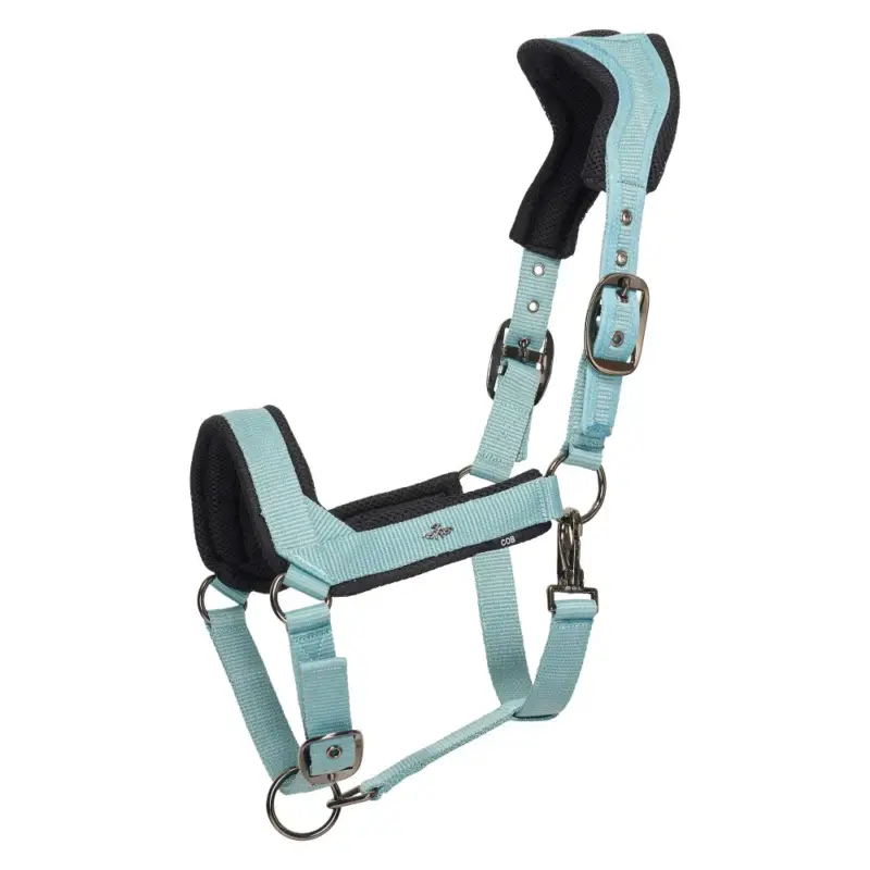 Occasione Capezzina HV Polo Esther