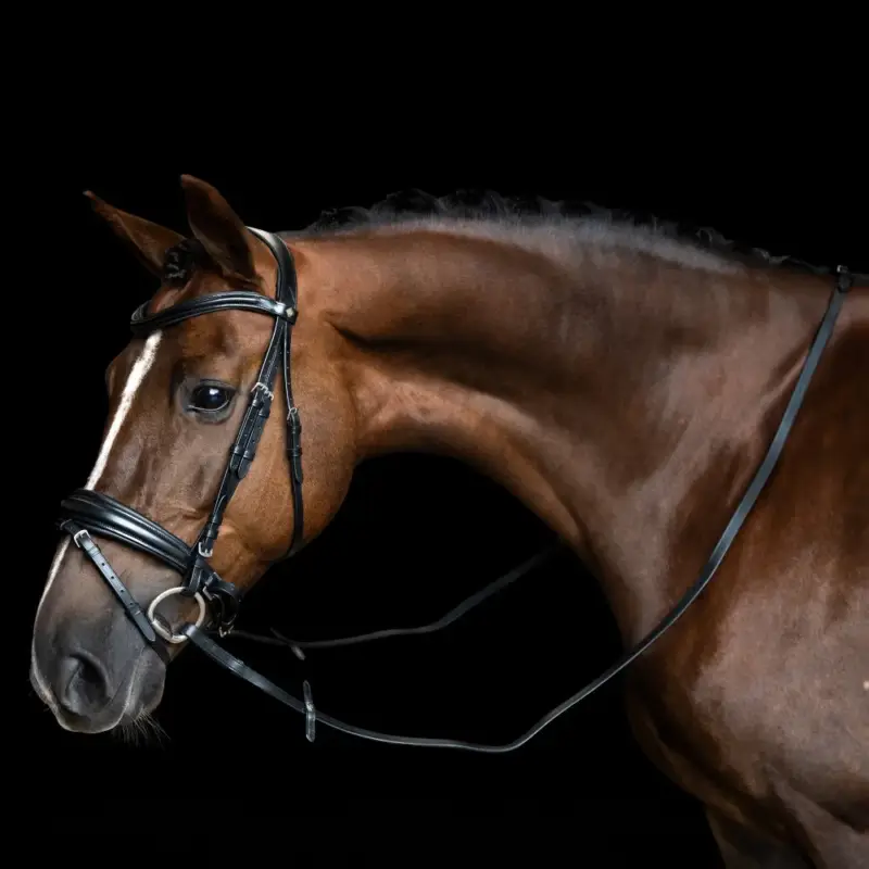 Redini Imperial Riding in cuoio liscio Vendita Finale