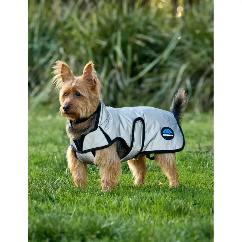 Coperta impermeabile per cane WeatherBeeta ComFiTec riflettente Spedizione Espresso