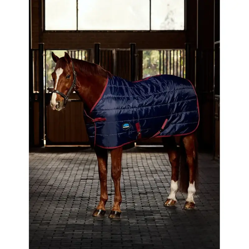 Pagamento Sicuro Coperta da box Weatherbeeta ComFiTec 210D Channel Quilt 220 g