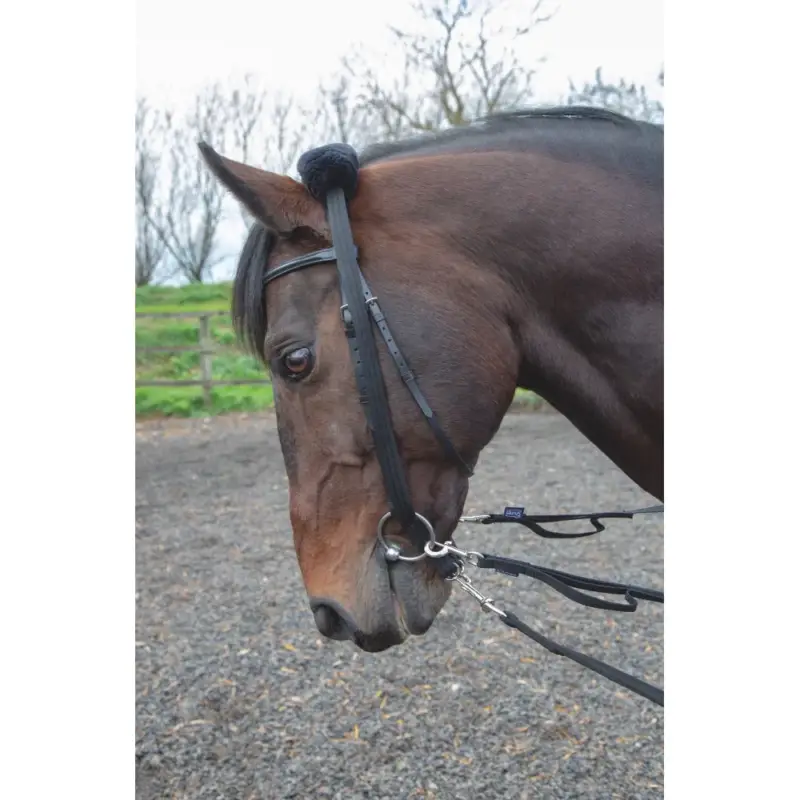 Adattatore per lunghina Shires Ordina Subito