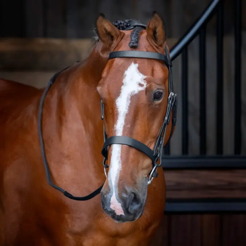 Briglia con capezzone Hunter Shires Velociti Rapida Offerta
